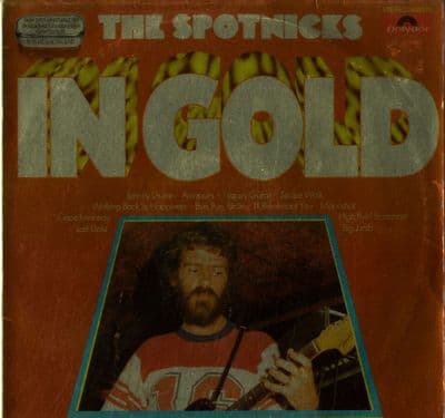 Spotnicks,The - In Gold (2459 372)