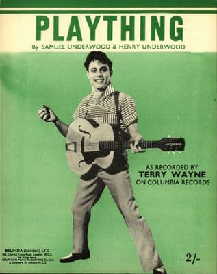 Terry Wayne - Plaything - Mint