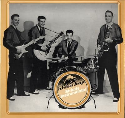 Various Artists - Strictly Instrumental (BBLP 2012) M-