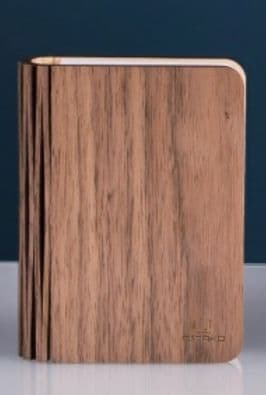 Gingko Mini Smart Book Light - Walnut