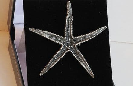 Ladycrow Pewter Brooch Starfish