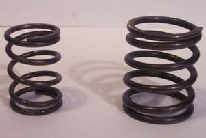 Springs for Ricardo valves one small one large