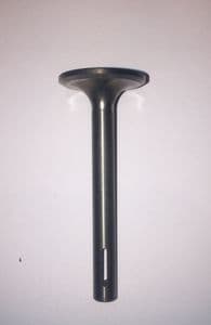 Valve Ricardo exhaust