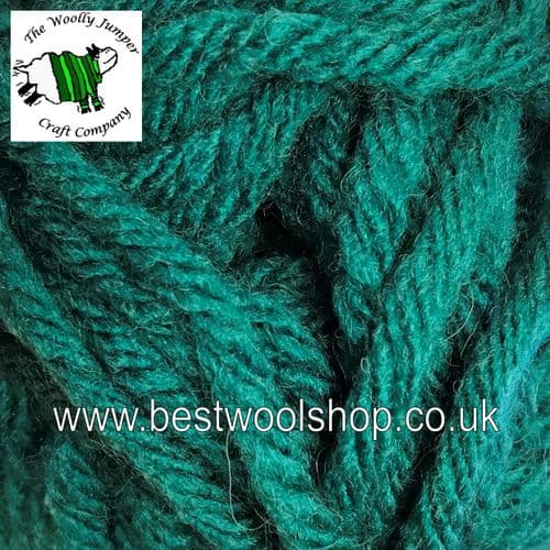 054 DRAKE - HAYFIELD SUPER CHUNKY WITH WOOL 100G BALL KNITTING  YARN