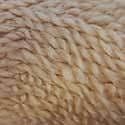 1/2 PRICE KING COLE MAXI-LITE SUPER CHUNKY KNITTING YARN VARIOUS SHADES