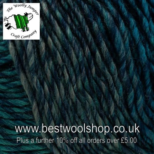 5255 FROZEN - KING COLE AUTUMN CHUNKY KNITTING YARN 100G