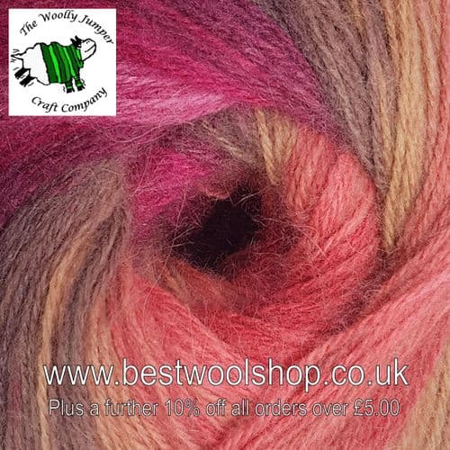 SH10 JAMES C BRETT SHH DK KNITTING YARN