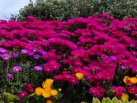 test2