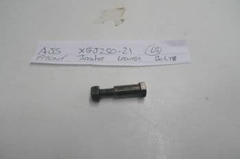 AJS TN25 250 BREAKING. FRONT BRAKE LEVER BOLT AJS XGJ250-21 (LOC-D)