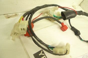 AJS TN25 250 BREAKING. MAIN WIRING LOOM HARNESS AJS XGJ250-21 (LOC-D)