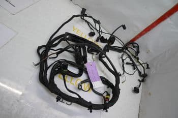 BMW F800 WIRING LOOM HARNESS (PNW) (CON-B)