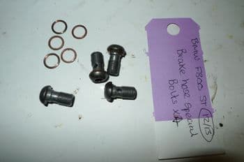 BMW F800ST BRAKE HOSE SPECIAL BOLTS (CON-B)