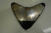 HONDA CBR600 F4,  BELLY PAN INFILL FAIRING 64385-MALA  #97 (U4R)