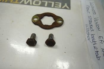 LEXMOTO VENOM 125 EFI FRONT SPROCKET BOLTS & TAB WASHERS #1 (LOC-A)