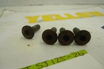 SKY JET SJ125-26 REAR BRAKE DISC BOLTS (CON-B)