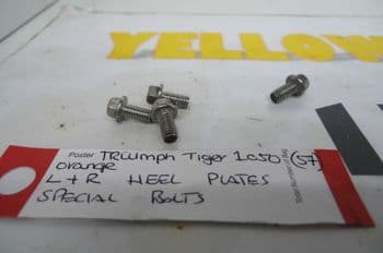 TRIUMPH TIGER 1050 L + R RIDERS HEEL PLATE SPECIAL BOLTS (CON-F)