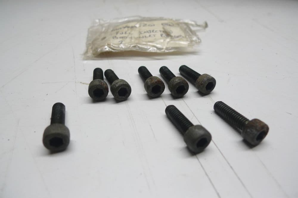 YAMAHA FZ6 FAZER FUEL INJECTOR BODIES BOLT X8 LOCC