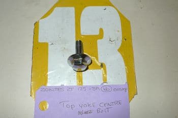 ZONTES ZT125 - 8A BREAKING. TOP YOKE CENTER BOLT (LOC-C)